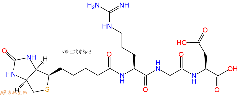 生物素標(biāo)記肽的幾種結(jié)構(gòu)形式匯總|多肽結(jié)構(gòu)計算器