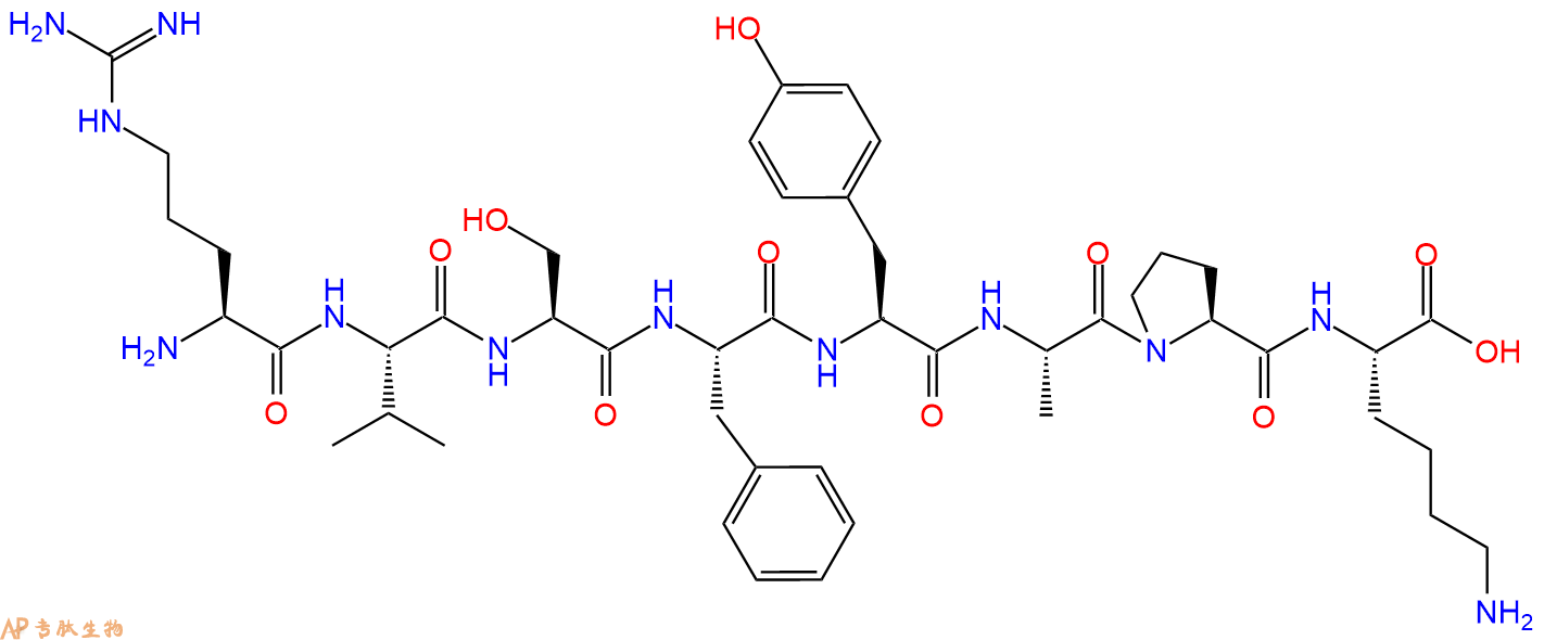 多肽RVSFYAPK的參數(shù)和合成路線|三字母為Arg-Val-Ser-Phe-Tyr-Ala-Pro