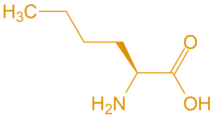 正亮氨酸(專肽生物tsjxdd.com)