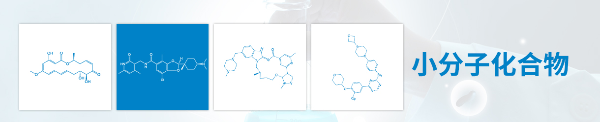 小分子化合物定制