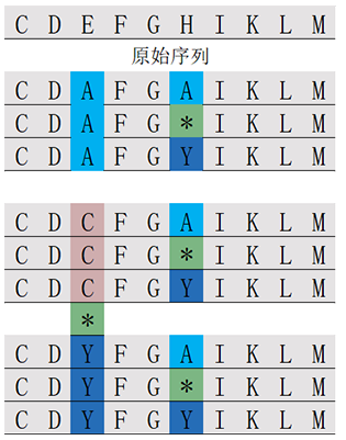 位置掃描肽庫計(jì)算器(專肽生物tsjxdd.com)