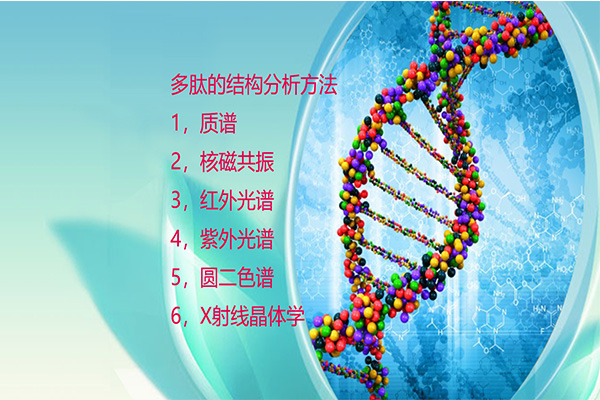 多肽的結(jié)構(gòu)分析方法