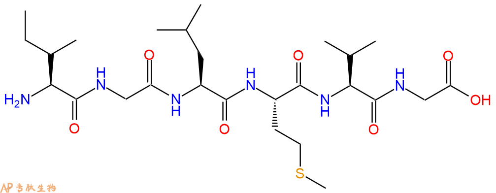 多肽IGLMVG的參數(shù)和合成路線|三字母為Ile-Gly-Leu-Met-Val-Gly|專肽生物產(chǎn)