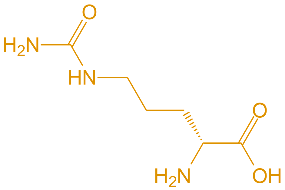 D型胍氨酸Cit(專肽生物tsjxdd.com)