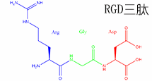 RGD線(xiàn)性三肽