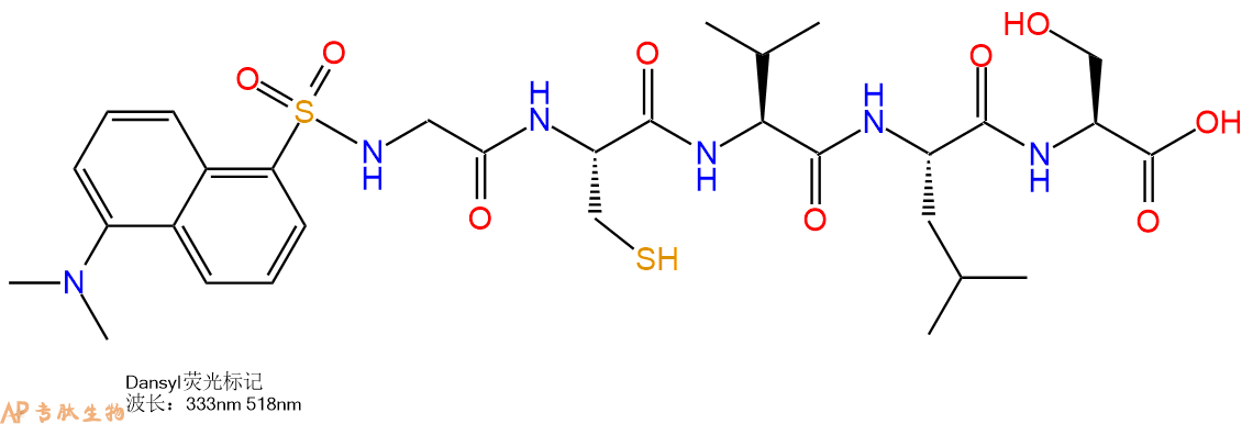 專(zhuān)肽生物產(chǎn)品標(biāo)記肽Dansyl-Gly-Cys-Val-Leu-Ser-OH143744-88-1
