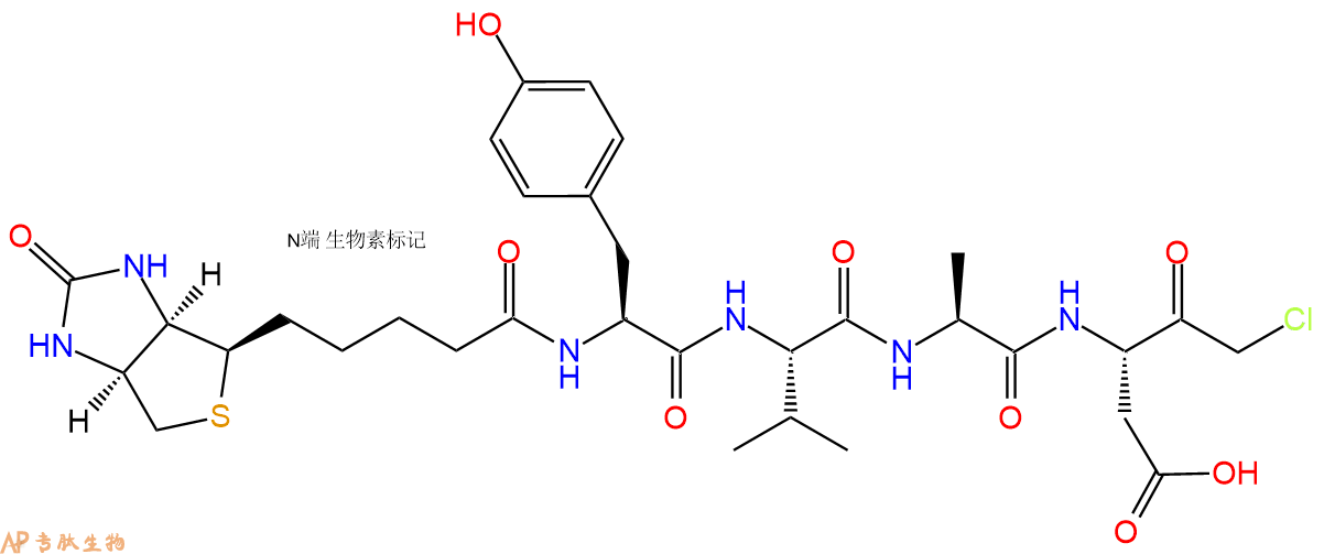 專肽生物產(chǎn)品Biotin - Caspase 1 Inhibitor II402474-75-3