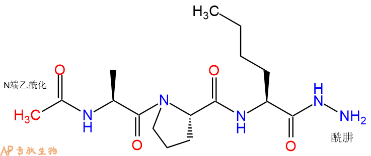 專肽生物產(chǎn)品三肽Ac-Ala-Pro-NIe-hydrazide1237540-60-1