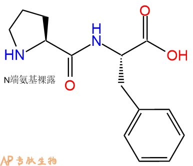專肽生物產(chǎn)品二肽Pro-Phe13589-02-1
