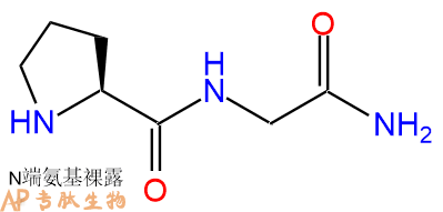 專肽生物產(chǎn)品二肽Pro-Gly-NH251952-37-5