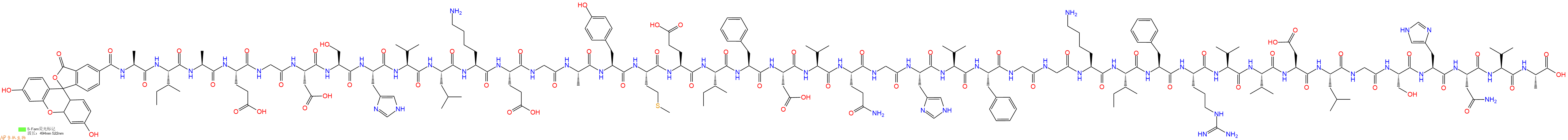 專(zhuān)肽生物產(chǎn)品淀粉肽5-FAM-Amyloid β-Protein (1-42)