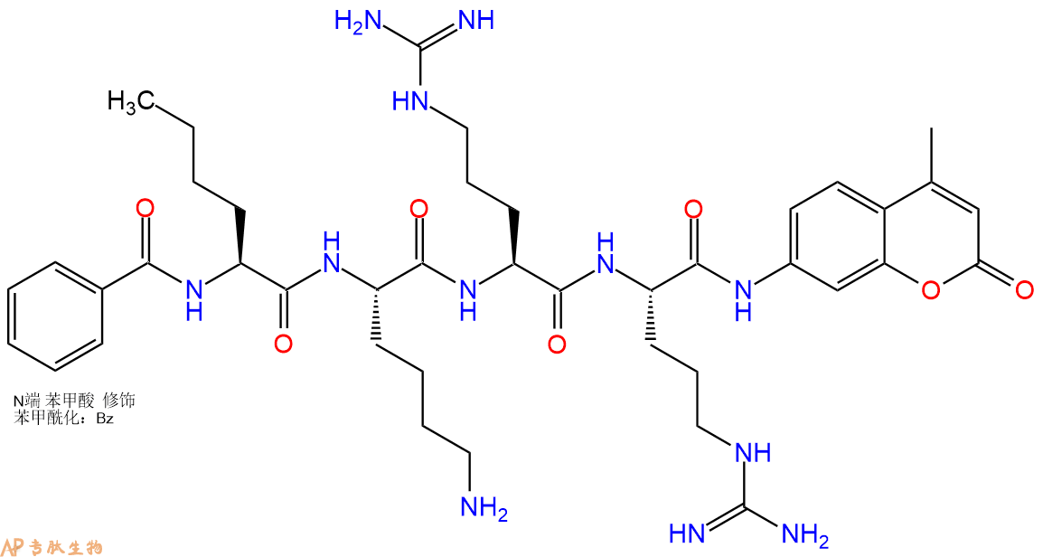 專肽生物產(chǎn)品標(biāo)記肽Bz-nLKRR-7-氨基-4-甲基香豆素863975-32-0