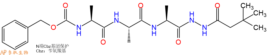 專肽生物產(chǎn)品三肽Cbz-Ala-Ala-Ala-NH-NHBoc33385-77-2