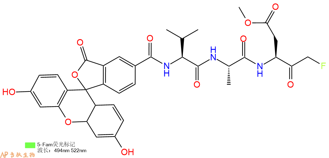 專肽生物產(chǎn)品FMK修飾肽：5-FAM-Val-Ala-Asp(OME)-FMK560094-66-8