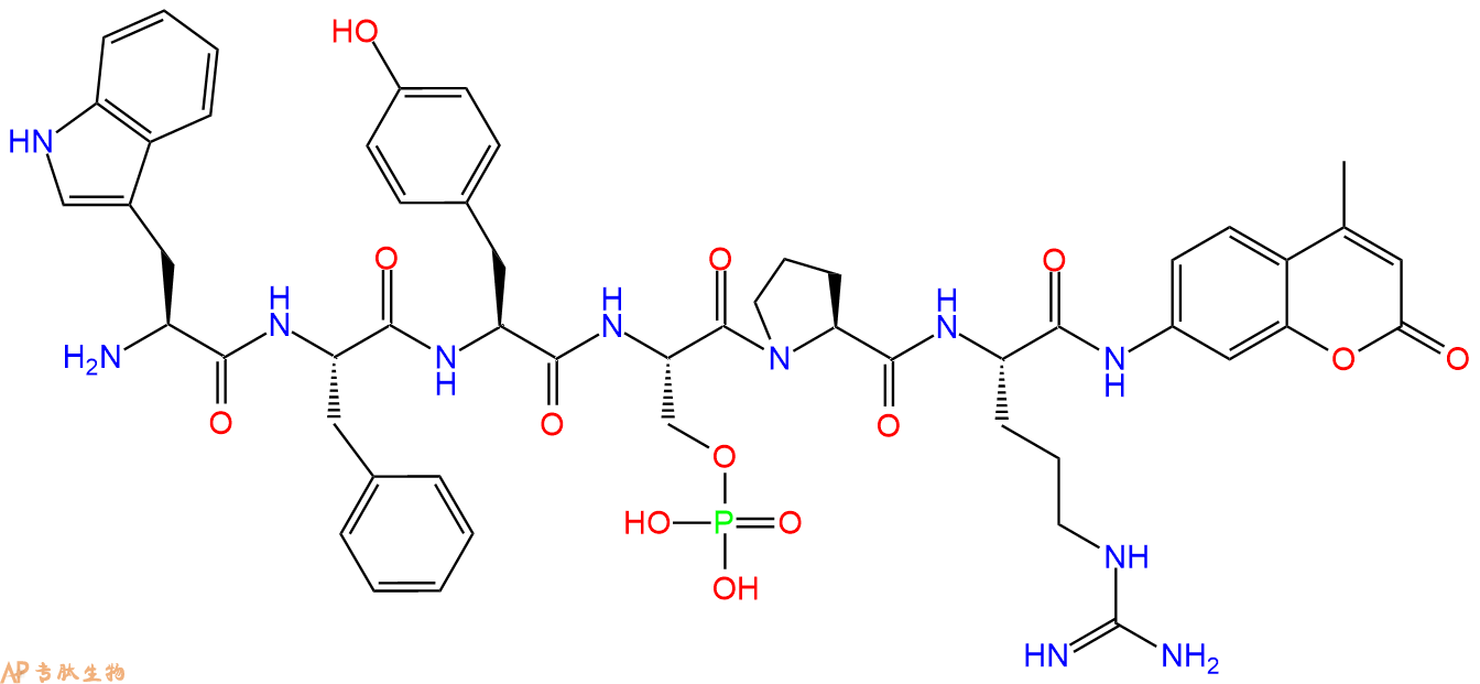 專(zhuān)肽生物產(chǎn)品肽基脯氨酰異構(gòu)酶底物：WFY(p)SPR-7-氨基-4-甲基香豆素1926163-51-0