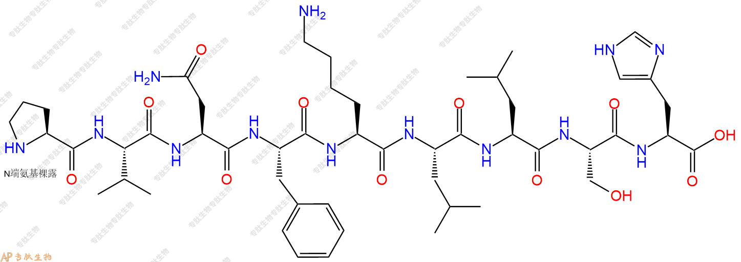 專肽生物產(chǎn)品Hemopressin (human, mouse)1314035-51-2/1431329-48-4