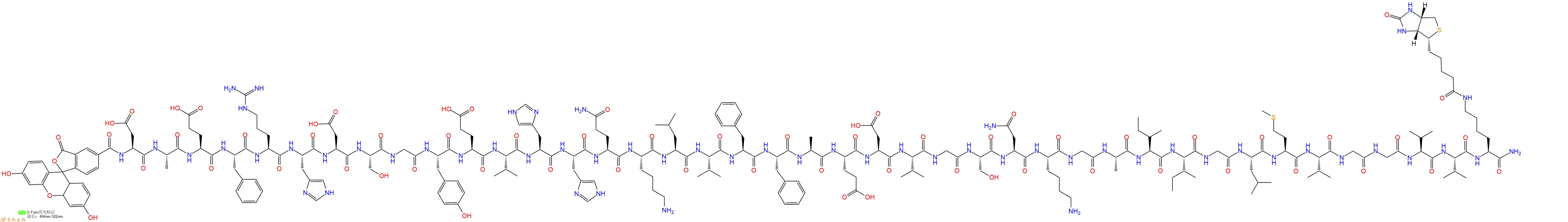 專(zhuān)肽生物產(chǎn)品淀粉肽5-FAM-Amyloid β-Protein (1-40)-Lys(εAhx-biotiny