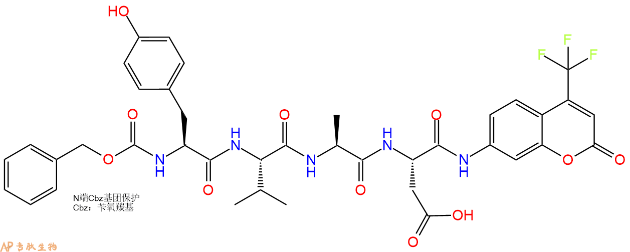 專(zhuān)肽生物產(chǎn)品AFC修飾多肽：PASE-1 Substrate (AFC); Z-Tyr-Val-Ala-Asp-AFC201608-13-1