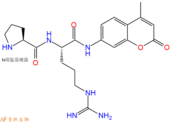 專(zhuān)肽生物產(chǎn)品二肽標(biāo)記肽PR-7-氨基-4-甲基香豆素·2HCl546103-85-9