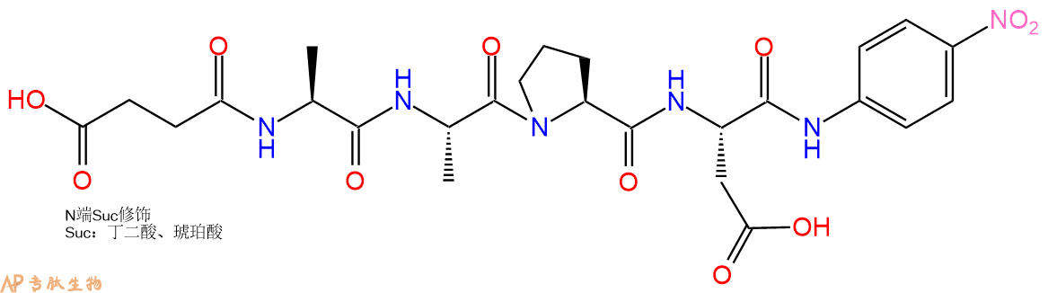 專肽生物產(chǎn)品四肽Suc-Ala-Ala-Pro-Asp-對(duì)硝基苯胺165174-58-3