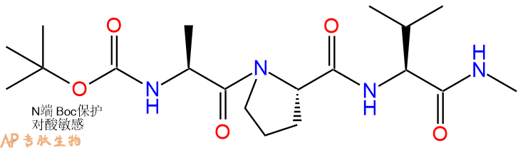 專肽生物產品三肽Boc-Ala-Pro-Val-甲氨基化87105-29-1