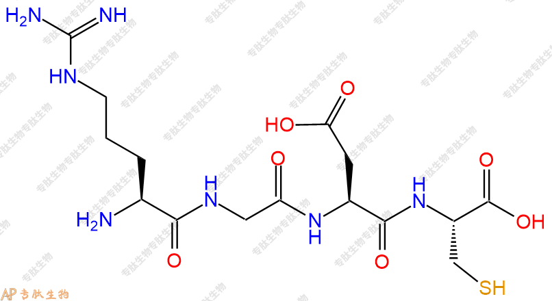 專(zhuān)肽生物產(chǎn)品RGD多肽：RGDC109292-46-8