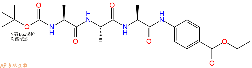 專肽生物產(chǎn)品三肽Boc-Ala-Ala-Ala-Benzocaine59191-02-5
