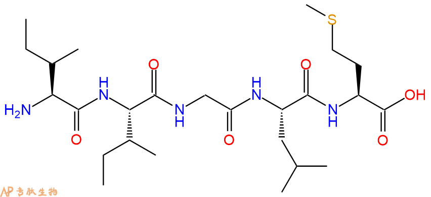 專肽生物產(chǎn)品淀粉肽Amyloid β-Protein (31-35)、Aβ31-35149385-65-9