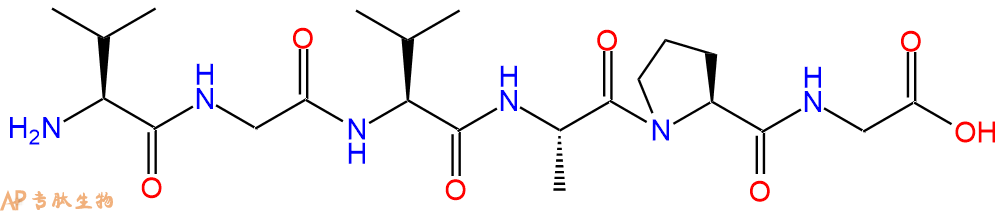 專肽生物產(chǎn)品六肽Chemotactic Domain of Elastin92899-39-3