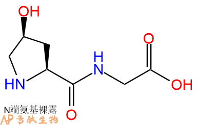 專(zhuān)肽生物產(chǎn)品二肽Hyp-Gly7672-35-7