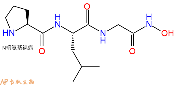 專(zhuān)肽生物產(chǎn)品基質(zhì)金屬蛋白酶MMP-8 Inhibitor120928-08-7