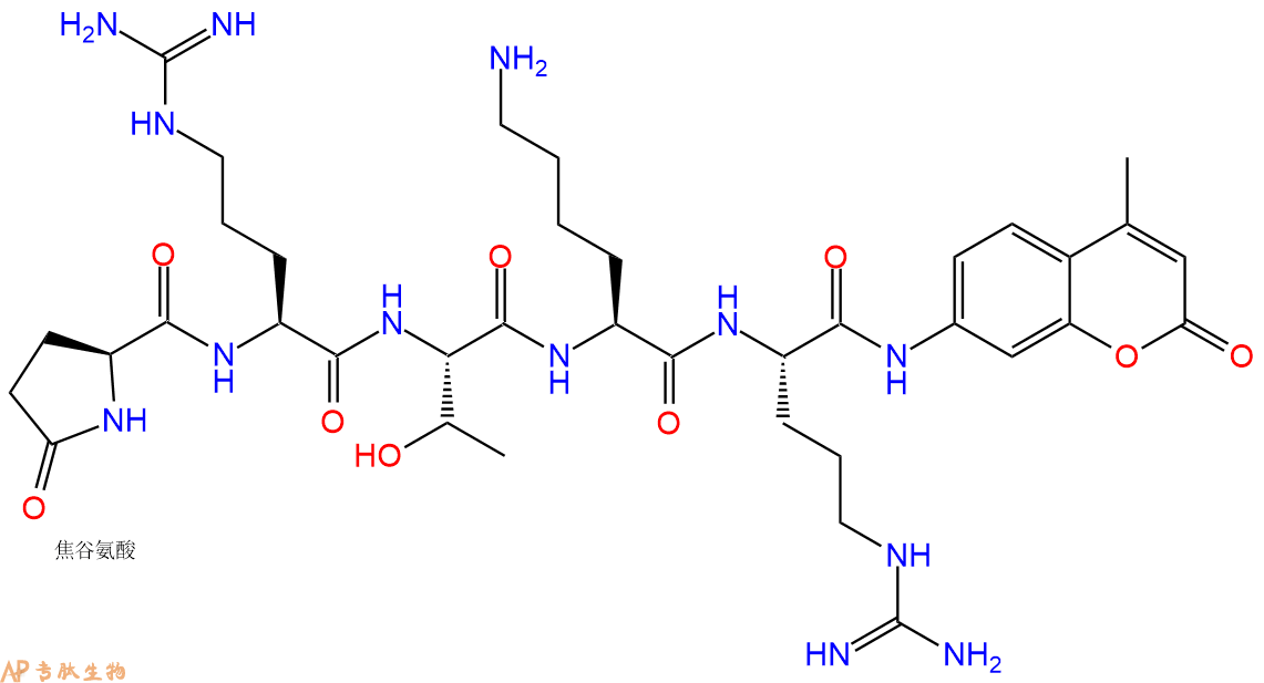 專(zhuān)肽生物產(chǎn)品pGlu-Arg-Thr-Lys-Arg-AMC155575-02-3