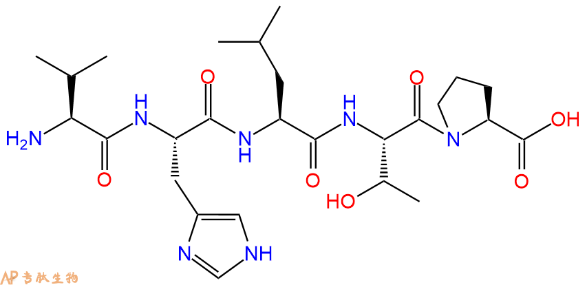 專肽生物產(chǎn)品五肽Val-His-Leu-Thr-Pro93913-38-3