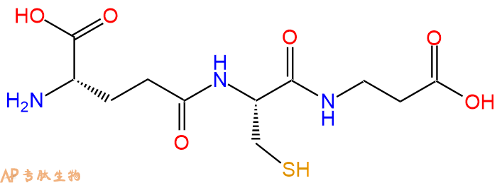 專肽生物產(chǎn)品味覺調(diào)節(jié)肽：同型谷胱甘肽、Homoglutathione18710-27-5