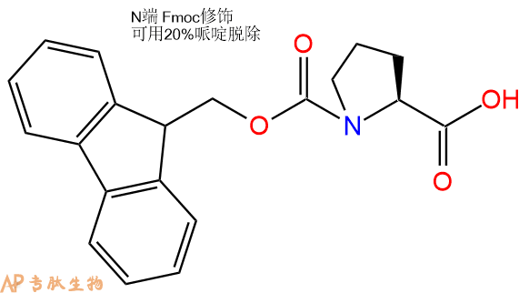 專肽生物產(chǎn)品Fmoc-Pro-OH、Fmoc-L-脯氨酸71989-31-6