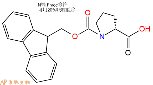 專肽生物產(chǎn)品Fmoc-D-脯氨酸/Fmoc-D-Pro-OH101555-62-8