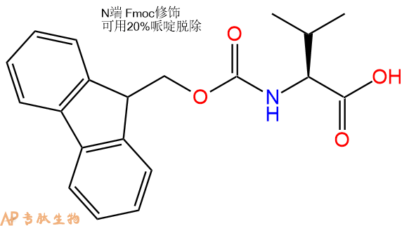 專肽生物產(chǎn)品Fmoc-Val-OH、Fmoc-L-纈氨酸68858-20-8