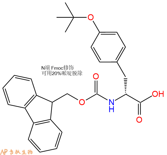專(zhuān)肽生物產(chǎn)品Fmoc-D-Tyr(tBu)-OH/Fmoc-O-叔丁基-D-酪氨酸118488-18-9