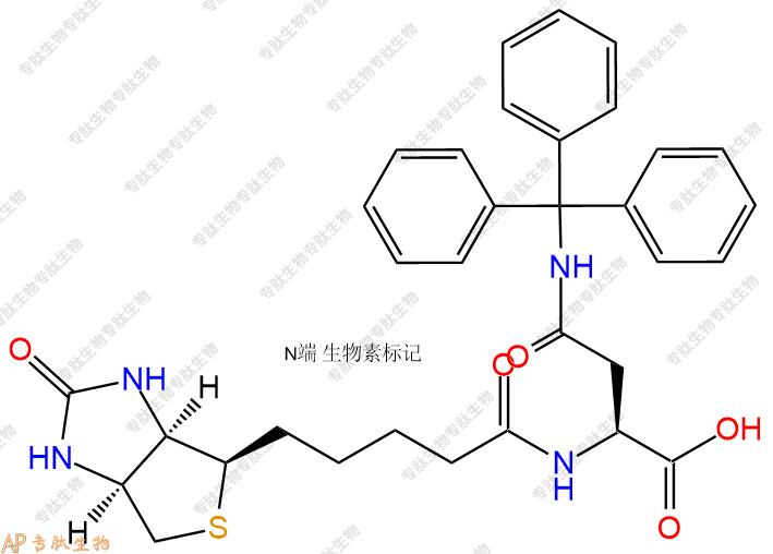 專(zhuān)肽生物產(chǎn)品Biotin-Asn(Trt)