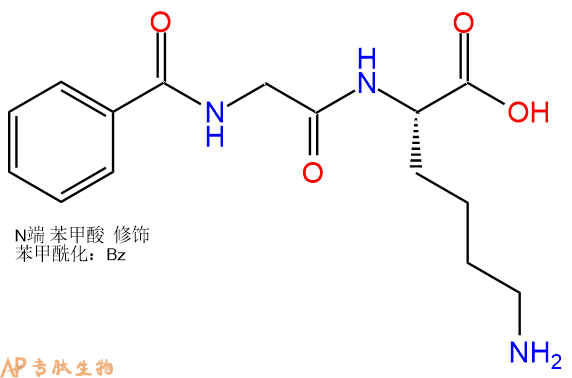 專肽生物產(chǎn)品Benzoyl-Gly-Lys-COOH 740-63-6
