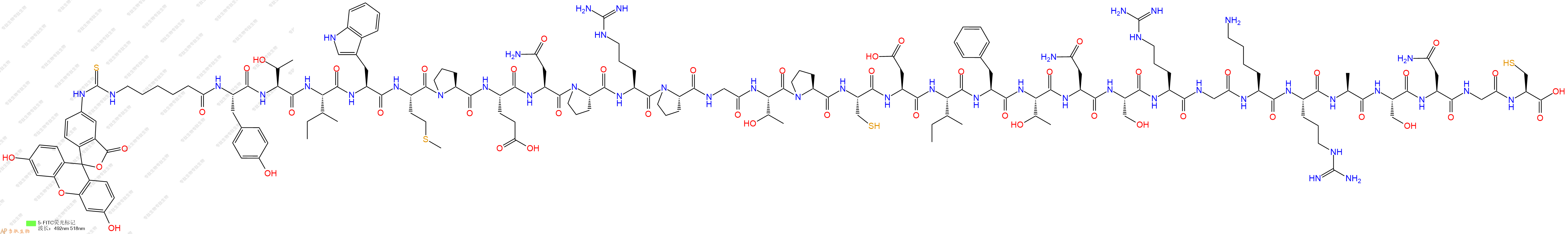 專肽生物產(chǎn)品熒光標(biāo)記狂犬病病毒肽Rabies Virus Glycoprotein、FITC-RVG peptide-Cys、FITC-RVG29-Cys、FITC-RVG-29-Cys