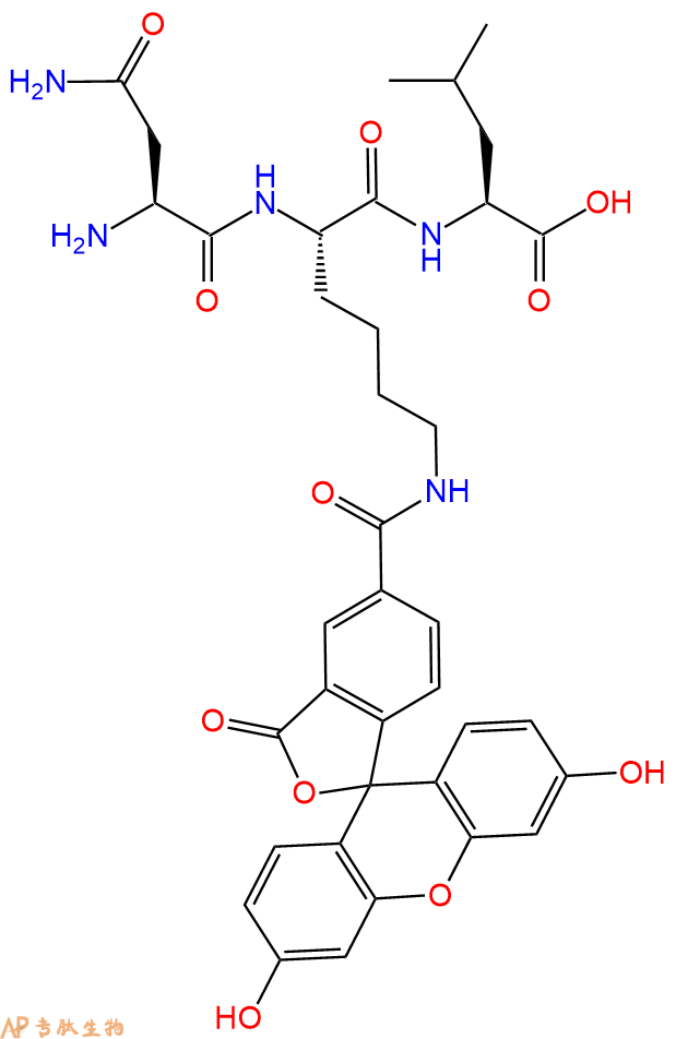 專肽生物產(chǎn)品H2N-Asn-Lys(5Fam)-Leu-COOH