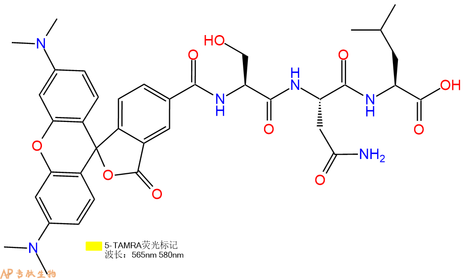 專肽生物產(chǎn)品5TAMRA-Ser-Asn-Leu-COOH