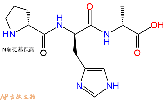 專肽生物產(chǎn)品H2N-DPro-DHis-DAla-COOH