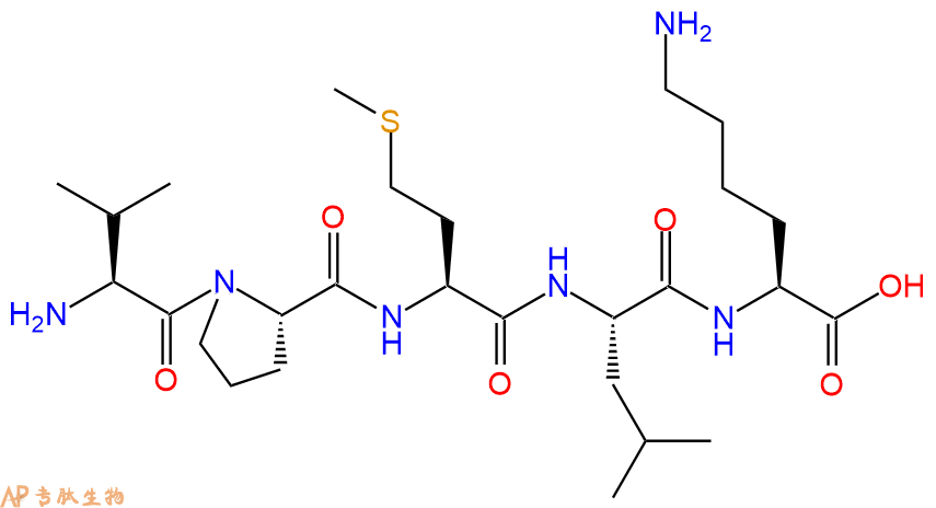 專肽生物產(chǎn)品Bax抑制劑多肽 Bax inhibitor peptide V5579492-81-2/2760881-58-9