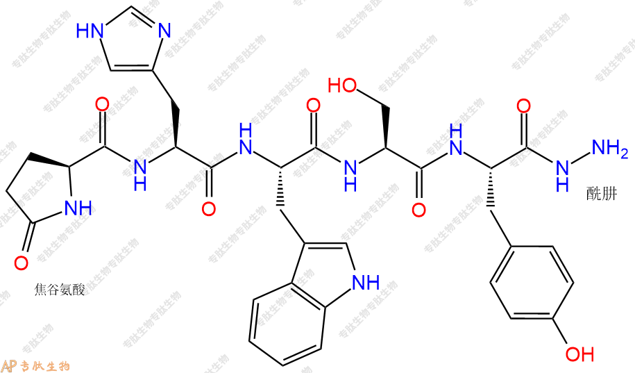 專肽生物產(chǎn)品黃體生成素釋放激素LHRH (1-5) hydrazide51871-40-0