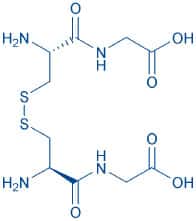 專肽生物產(chǎn)品(H-Cys-Gly-OH)? (Disulfide bond)7729-20-6