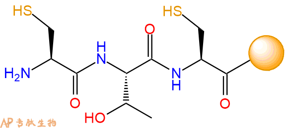 專肽生物產(chǎn)品H2N-Cys-Thr-Cys-Resin