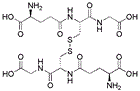 專肽生物產(chǎn)品抗氧化劑：L-谷胱甘肽 (氧化型)、Glutathione oxidized27025-41-8