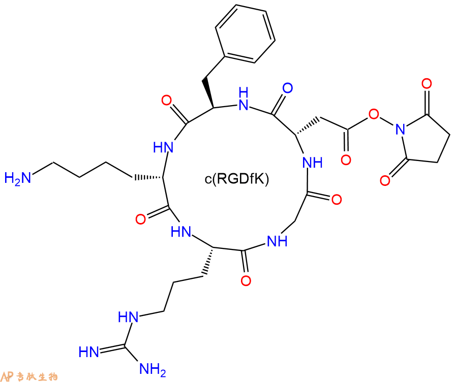 專(zhuān)肽生物產(chǎn)品活化酯形式的c(RGDfK)環(huán)肽：c(RGDfK)-NHS、NHS-c(RGDfK)